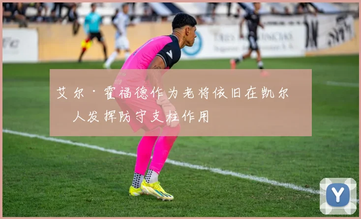 艾尔·霍福德作为老将依旧在凯尔特人发挥防守支柱作用