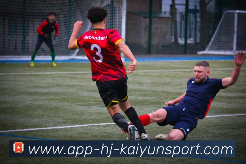 开云APP平台生态图