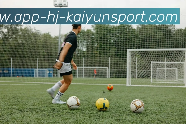 开云APPAPP 封面图