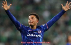 开云体育官网app下载-法甲里昂德比胜率的统计与历史数据